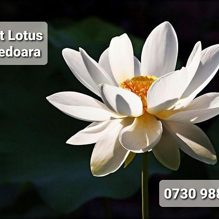 Night Lotus Διαμέρισμα Χουνεντοάρα Εξωτερικό φωτογραφία