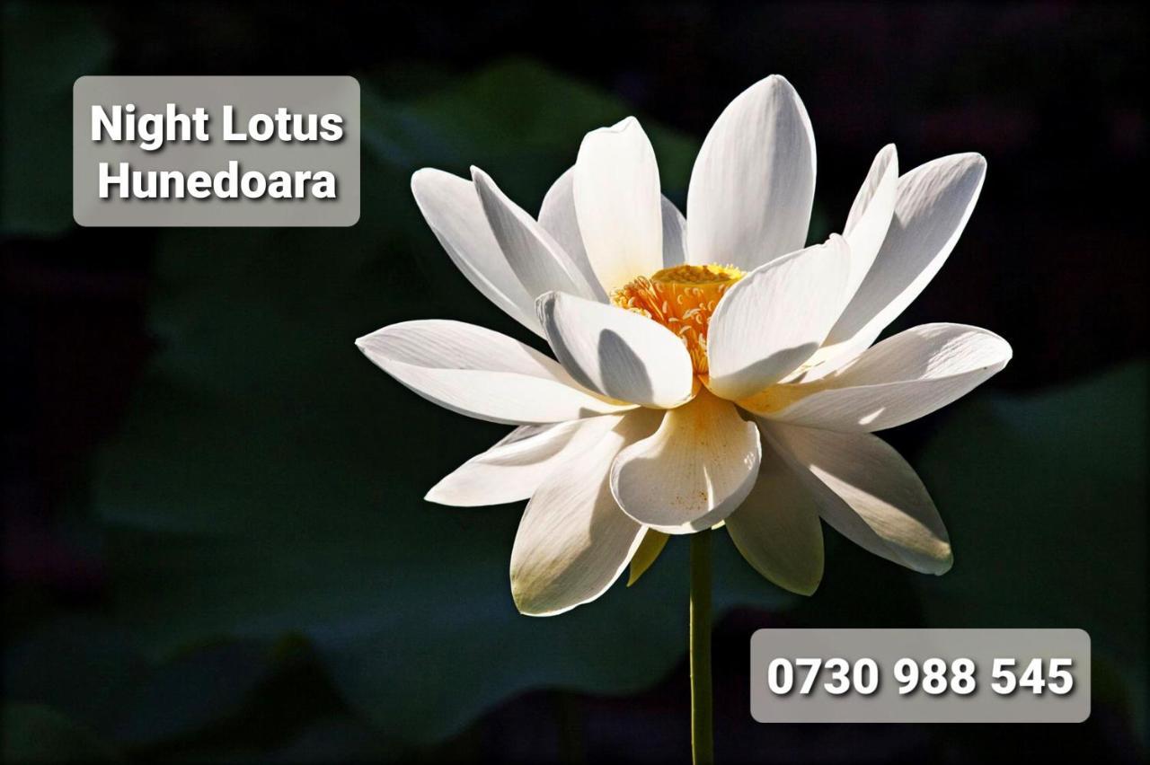 Night Lotus Διαμέρισμα Χουνεντοάρα Εξωτερικό φωτογραφία